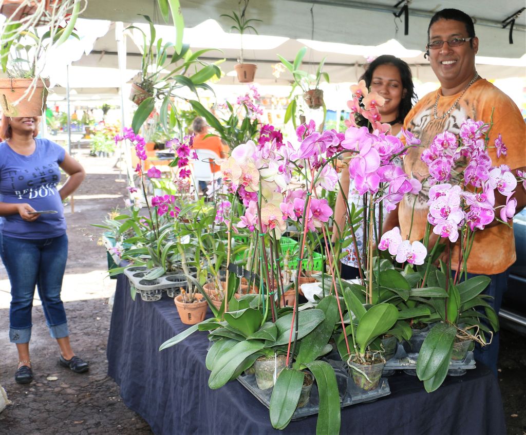 Roses and orchids steal hearts at flower show Trinidad Guardian