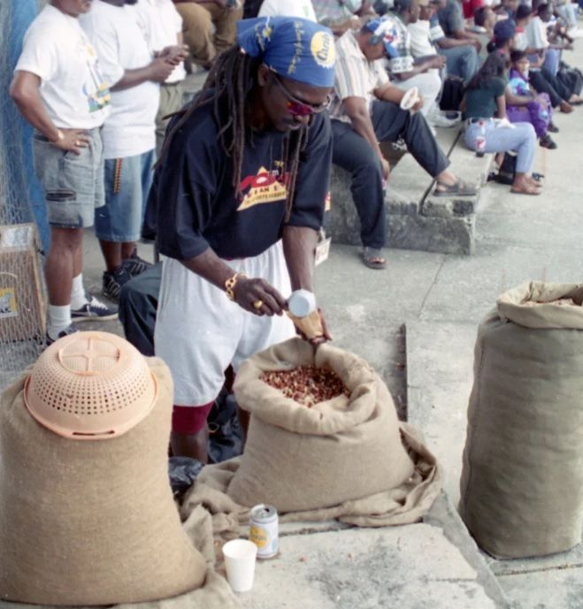 Sunshine Snacks opens door to nuts vendors for CPL Trinidad Guardian