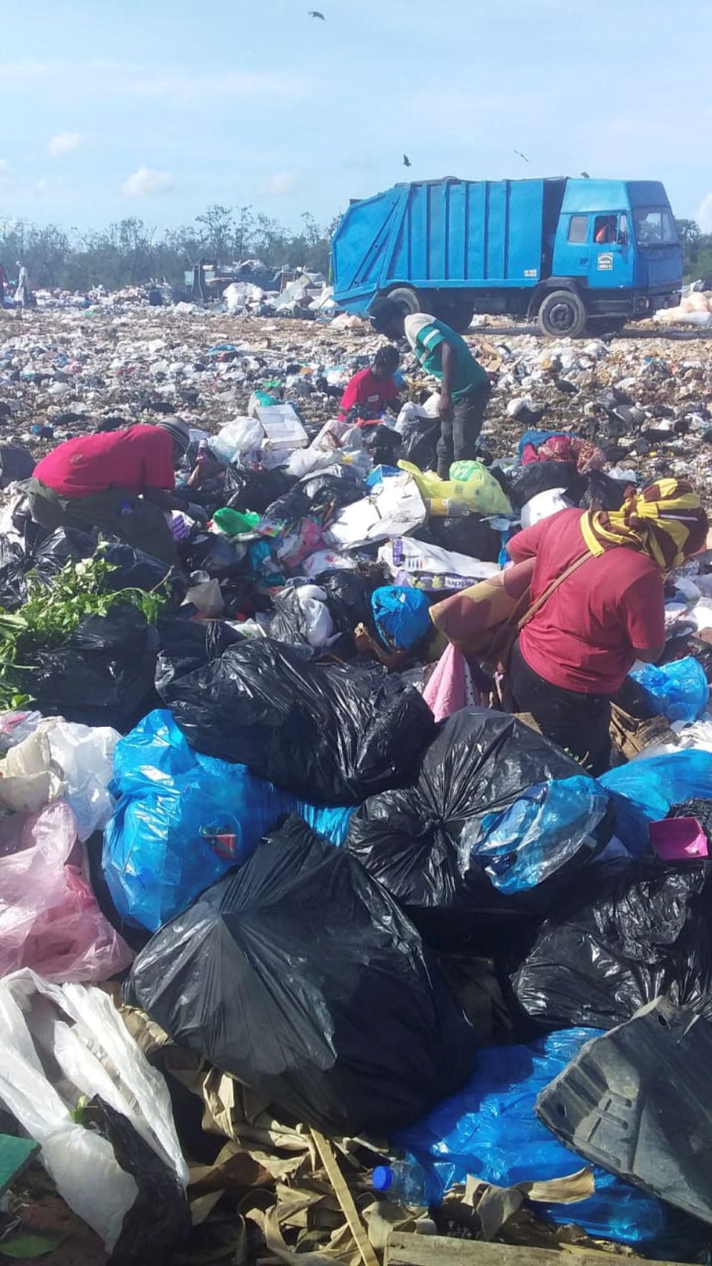 Managing The Disposal Of Electronic Waste Trinidad An vrogue.co