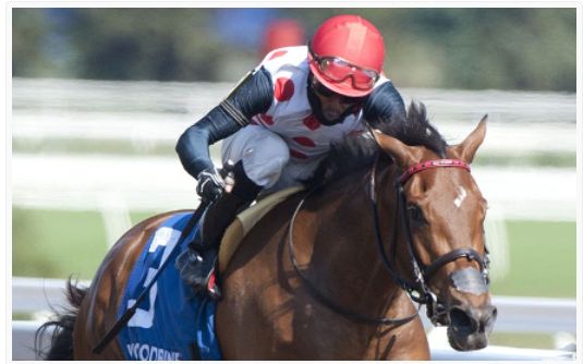 Husbands unsuccessful in Gulfstream outing