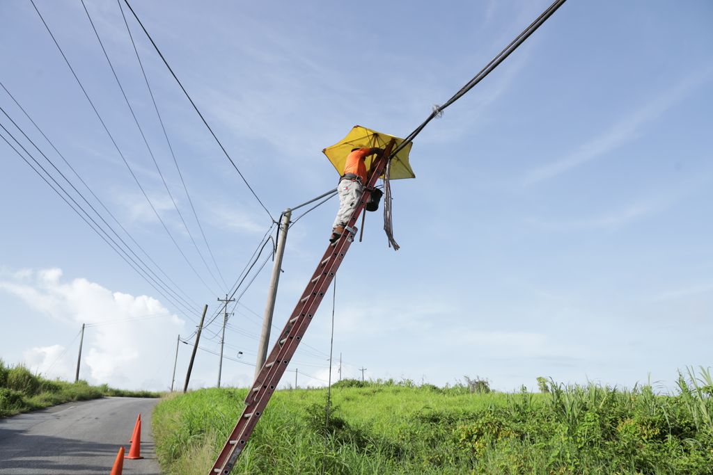 Copper Thieves Cause Internet Television Shutdown In Woodland 
