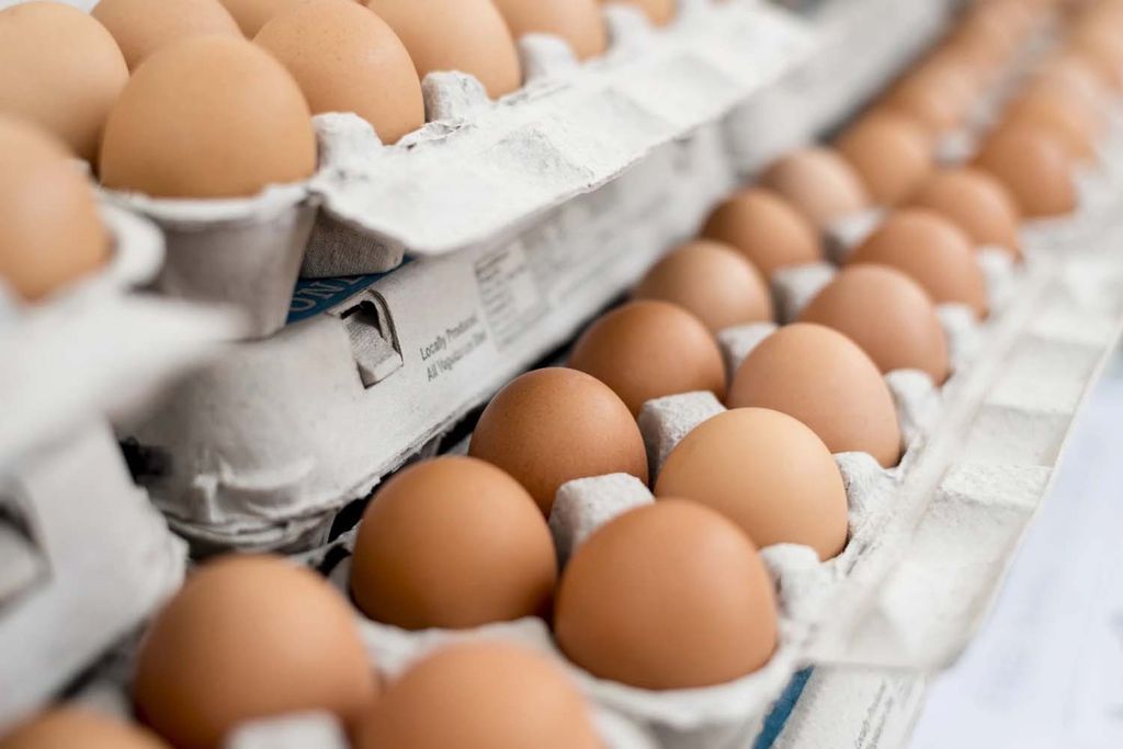 Egg prices going up as animal feed prices skyrocket Trinidad Guardian