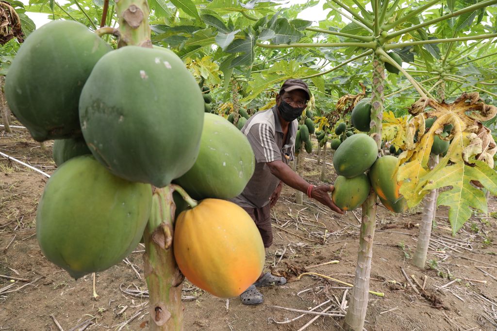 More implementation of budget promises needed for agriculture