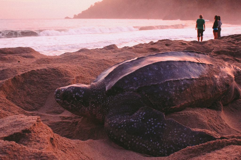 Nature Seekers receives USD 1.5 million donation Trinidad Guardian