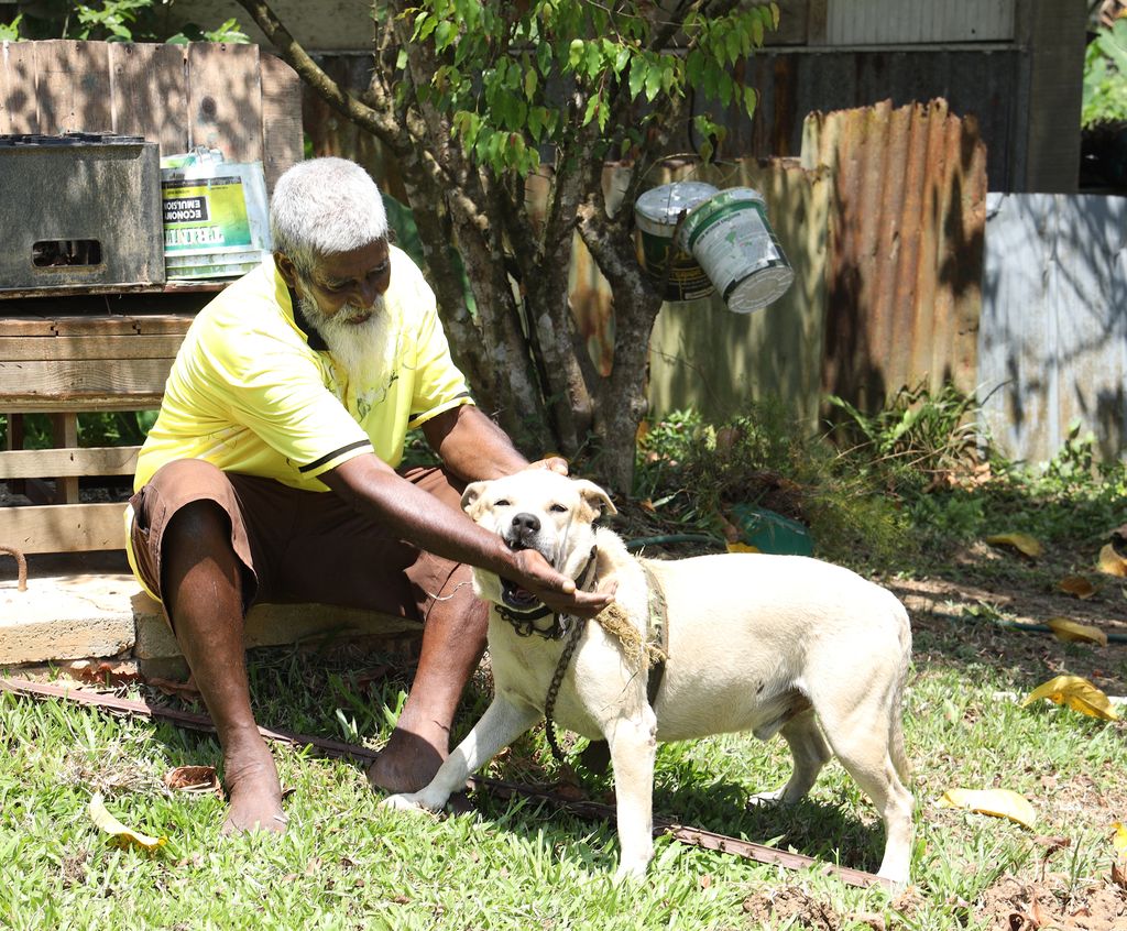 Child bitten by dog remains hospitalised Trinidad Guardian