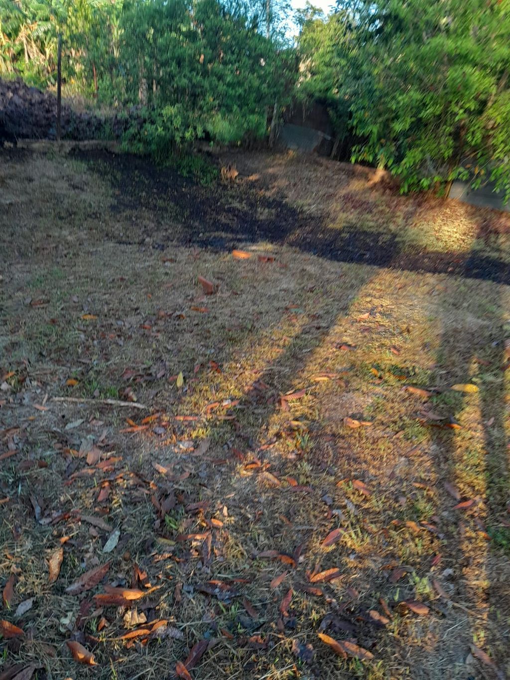 Fyzabad oil spill forces evacuations Trinidad Guardian