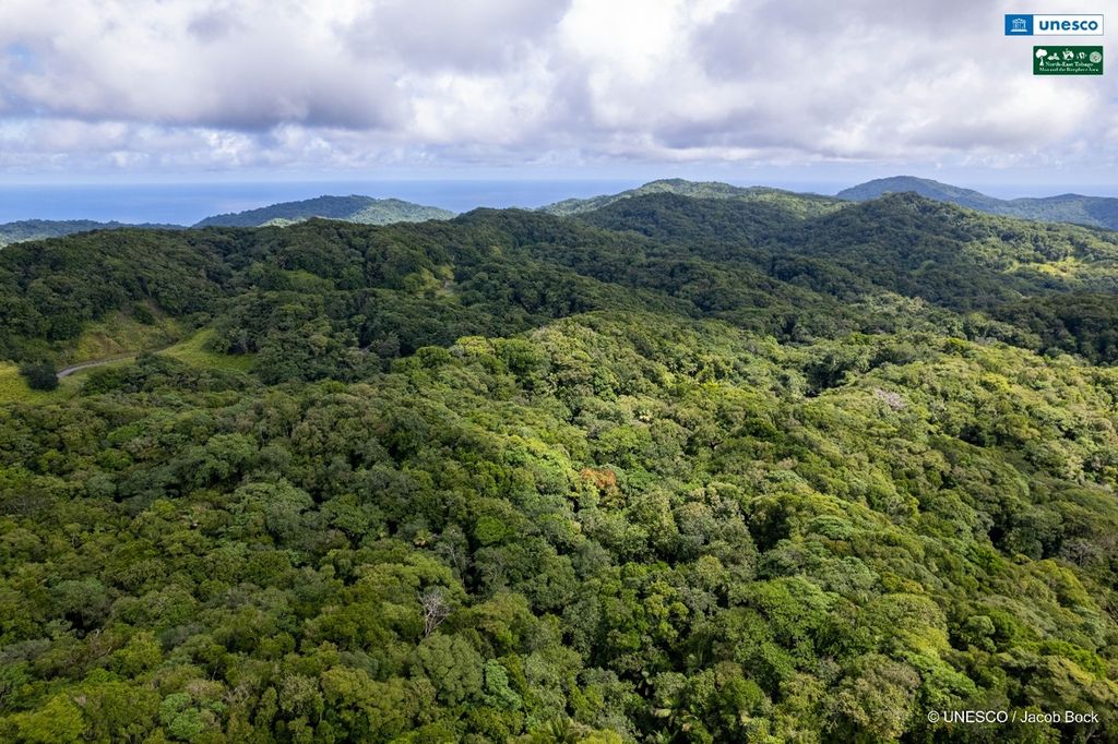 THA celebrates Main Ridge Day