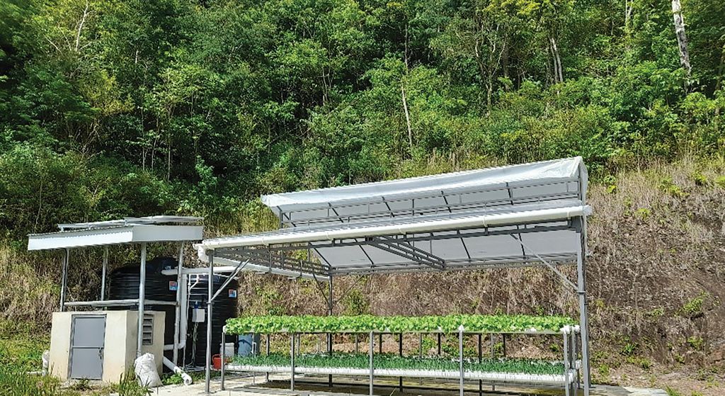 More than charity: The organisational side of NGOs and NPOs