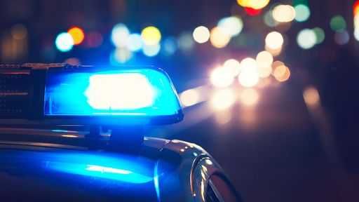 Morvant police seize ammunition during anti-crime exercise - Trinidad ...