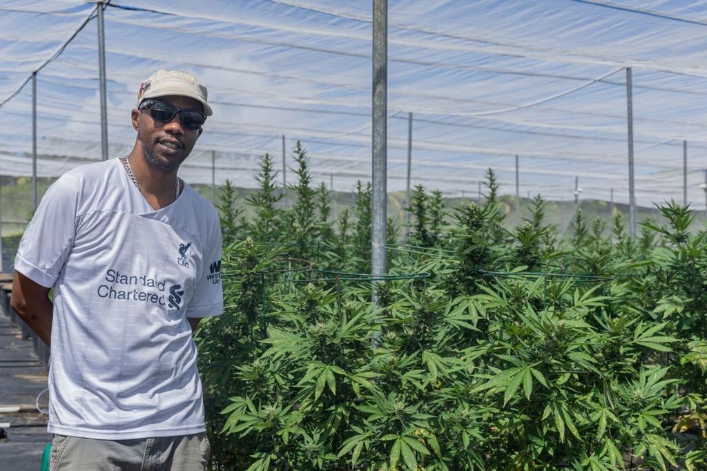 Policy without investment: Why 2026 budget fails the medical cannabis promise