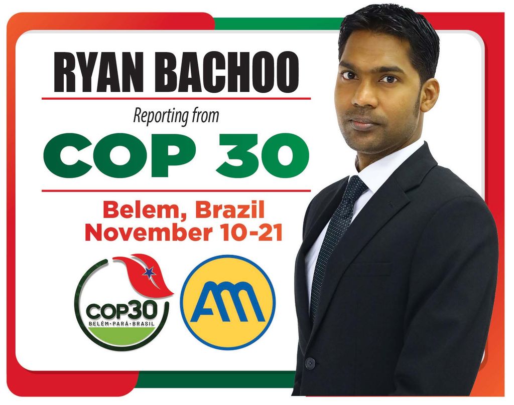 Minister instructs CDA to create spaces for Carnival fetes