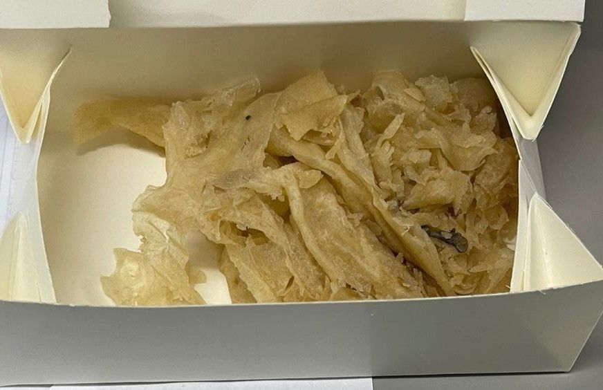 Minister to probe allegations of lizards found in school feeding roti