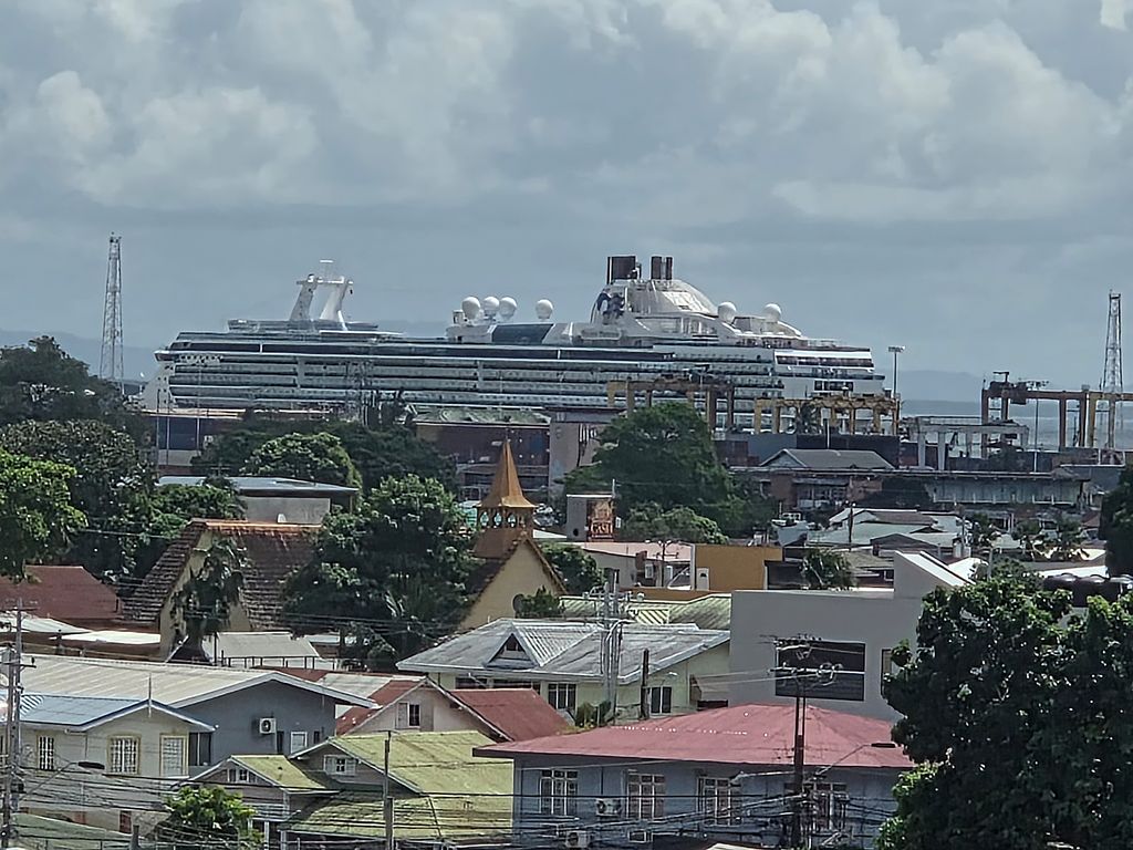 Cruise ship operators report reduction in pre-booked tours