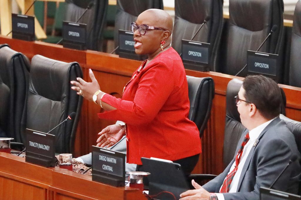 TPP claps back at Camille over Farley’s St Kitts mission