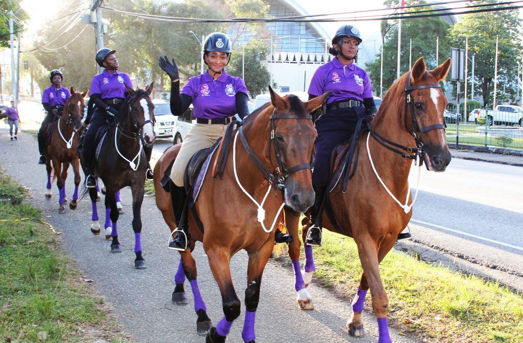 Hundreds turn out for IWD walk at QPS