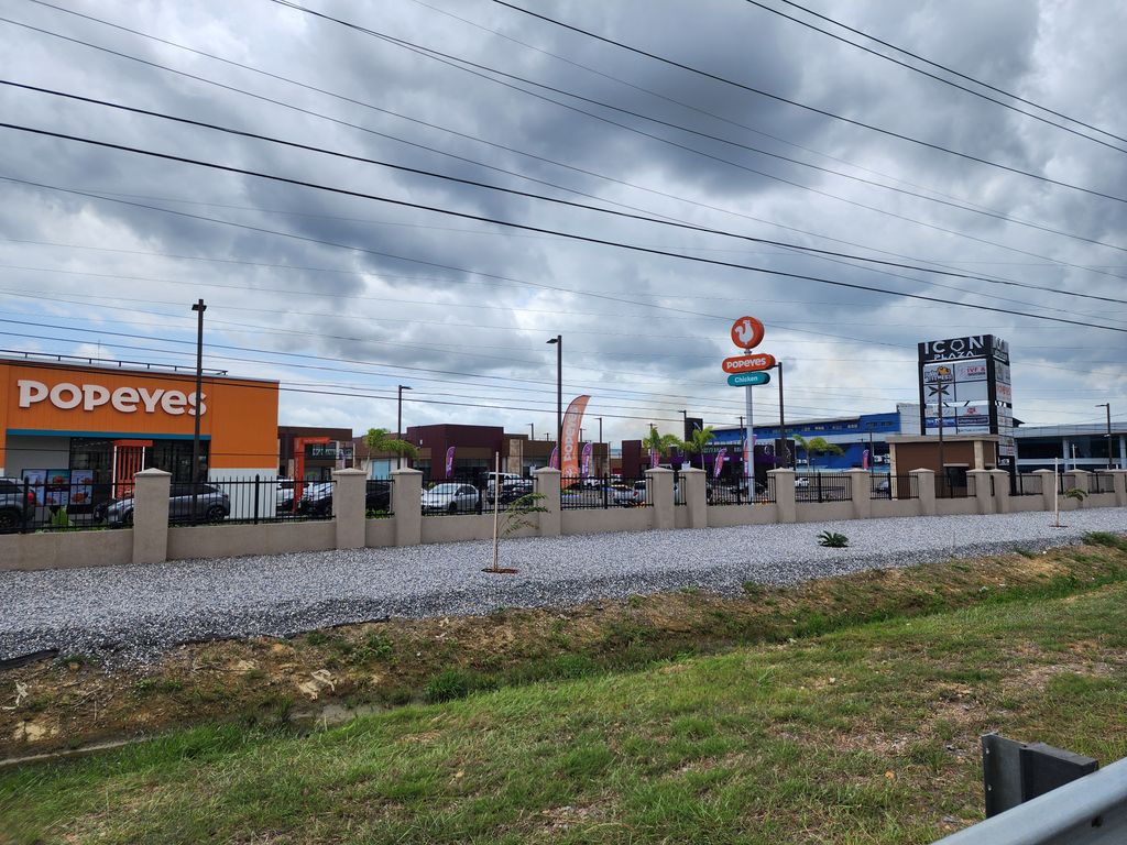 T&T's retail expanding: Bagshot Park comes to life, Icon Plaza aims to rise