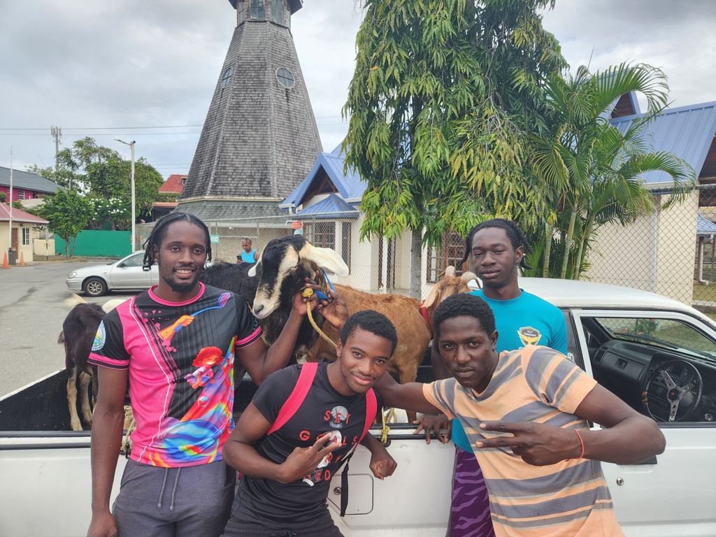 Goats bring Easter tradition to life in Tobago