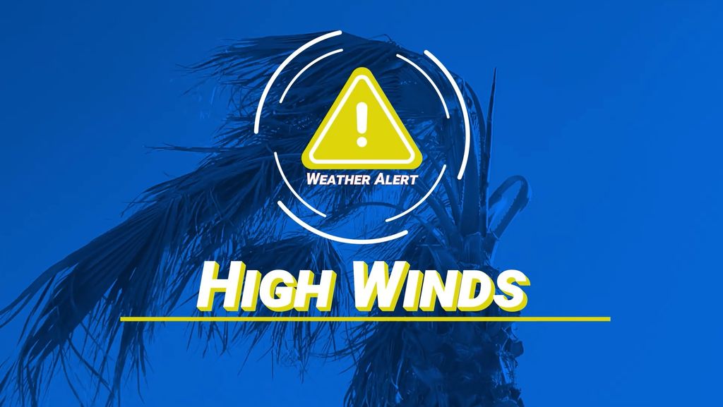 High Wind Alert issued for Trinidad and Tobago as gusts expected to intensify this weekend