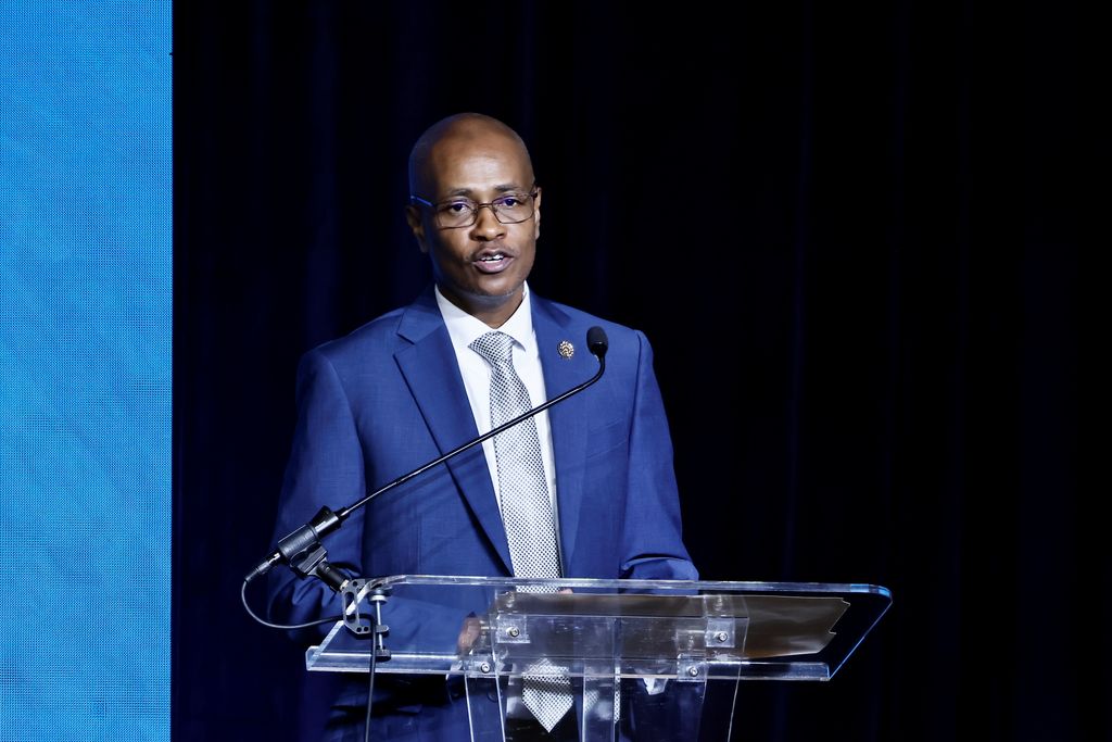 Hadad: New plan to double non-energy exports needs more detail