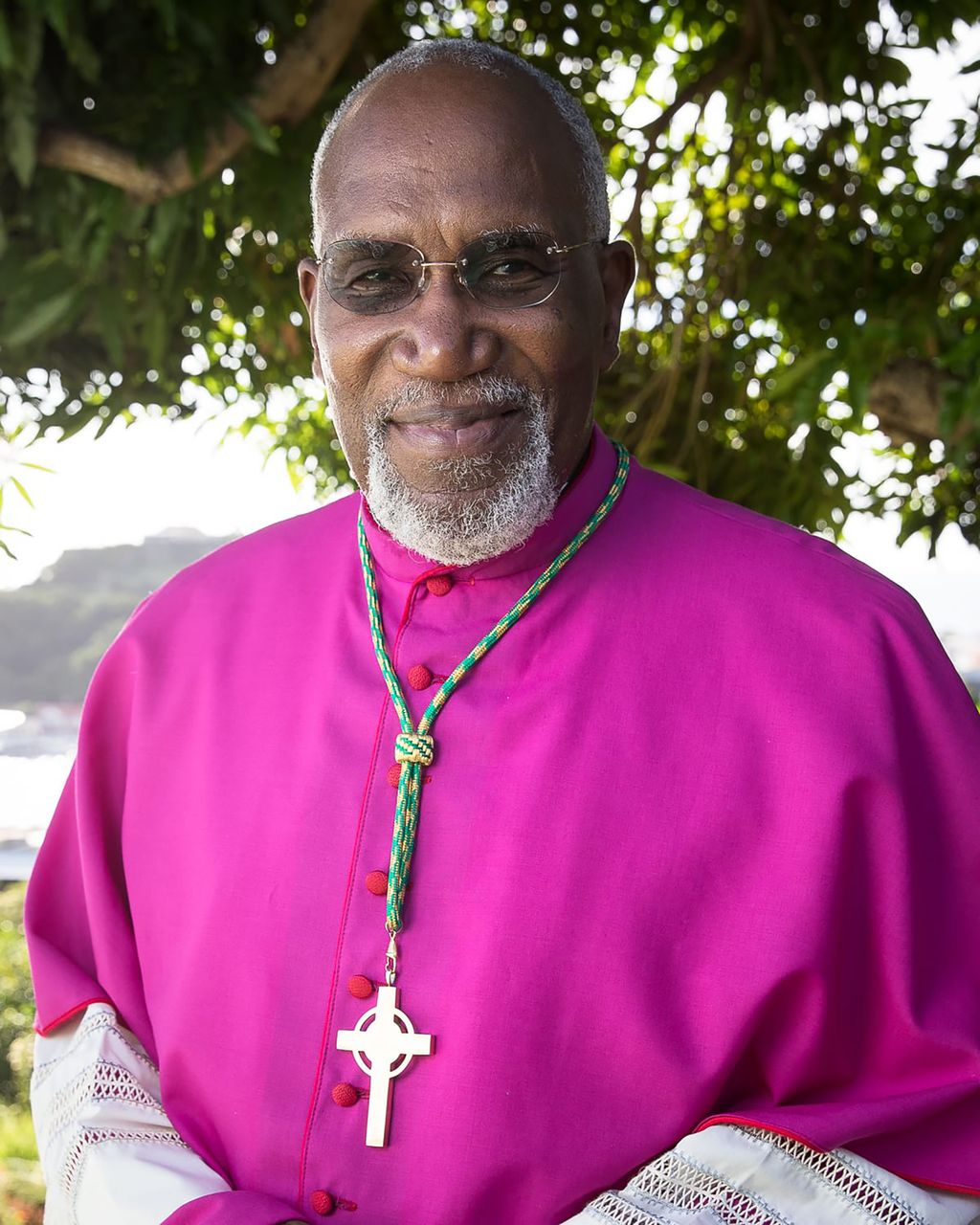 Pope Leo XIV accepts Bishop Harvey’s resignation
