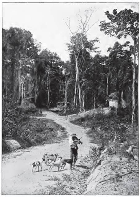 An archival recap of historian Angelo Bissessarsingh’s work