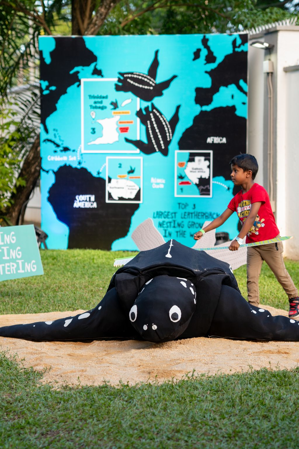 World Oceans Day: Reimagining conservation education