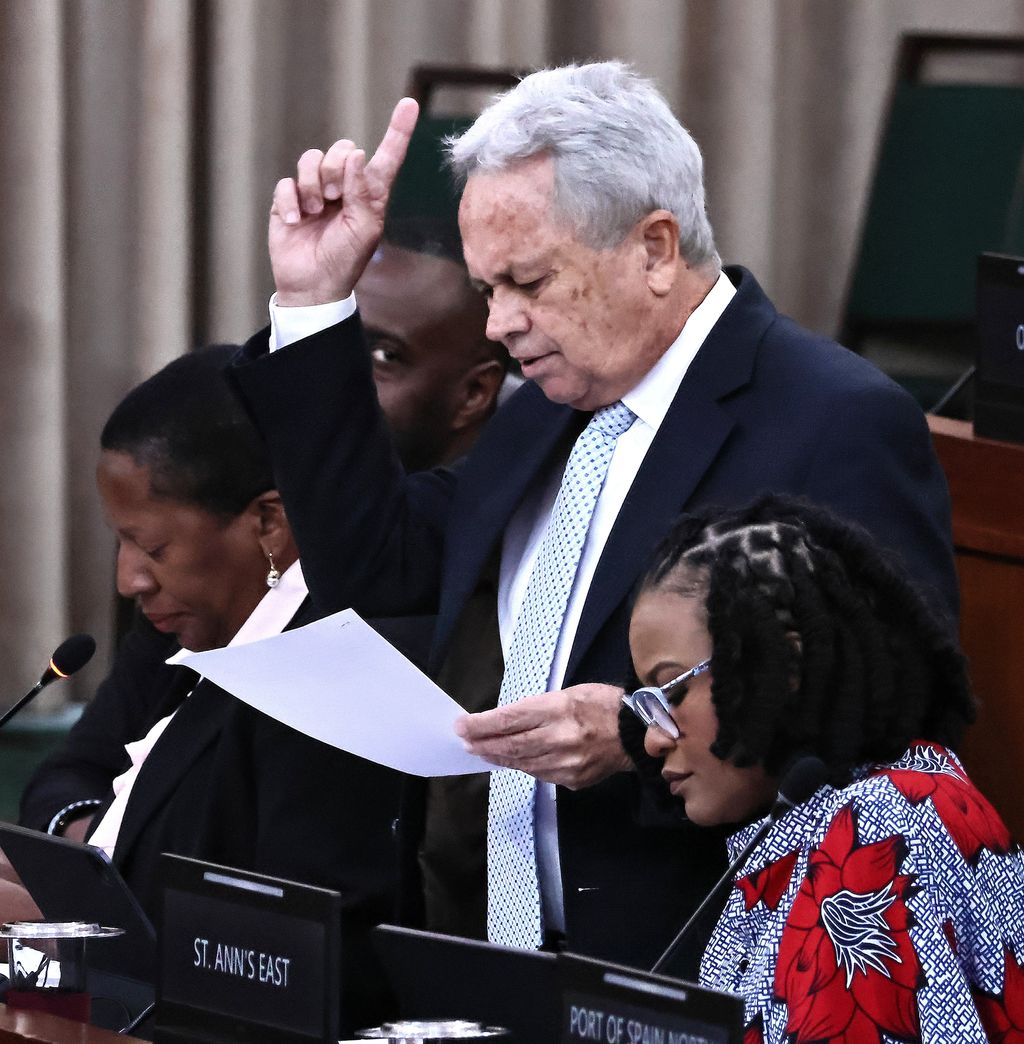 Imbert: Finance Bill punishes poor, small businesses