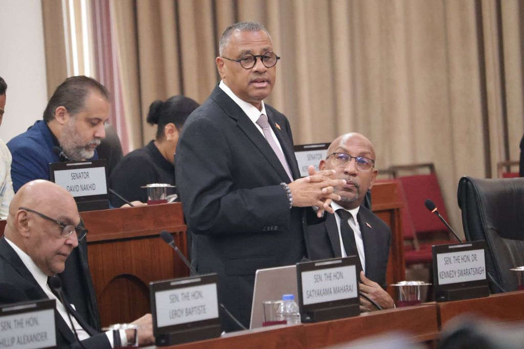 Minister: $2.9B mid-year injection key to crime fight, economic growth