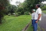 Rare papyrus plant among items stolen from Palmiste Park