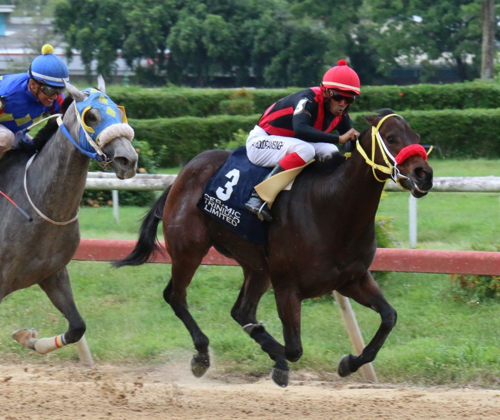Six races for Santa Rosa on New Years Day - Trinidad Guardian