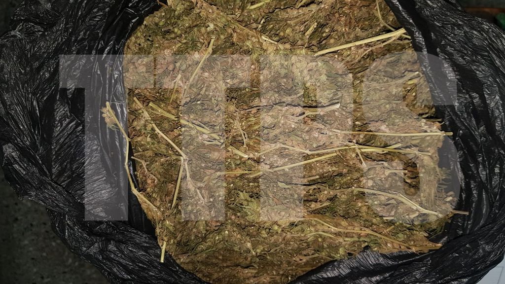 The cannabis seized by police during the road exercise in Rio Claro on Saturday 30 May 2020. 
