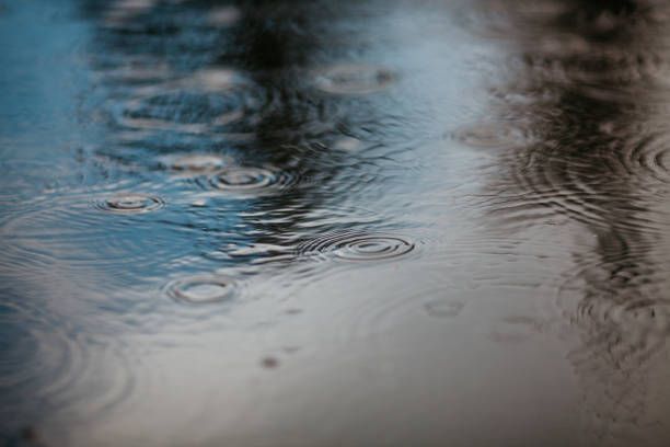 Search ongoing for boy, 4, after sister, 8, dies in California river closed after storms - Vimarsana News