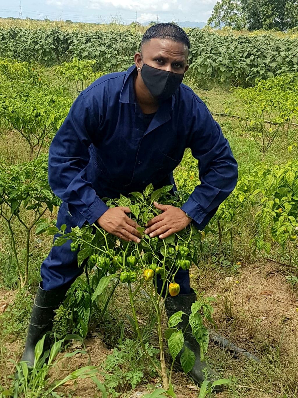 More floods, more crop diseases, agronomist warns - Vimarsana News