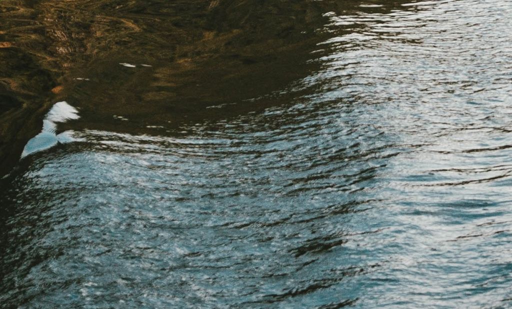 Man, 47, drowns in swollen river in Biche - Vimarsana News