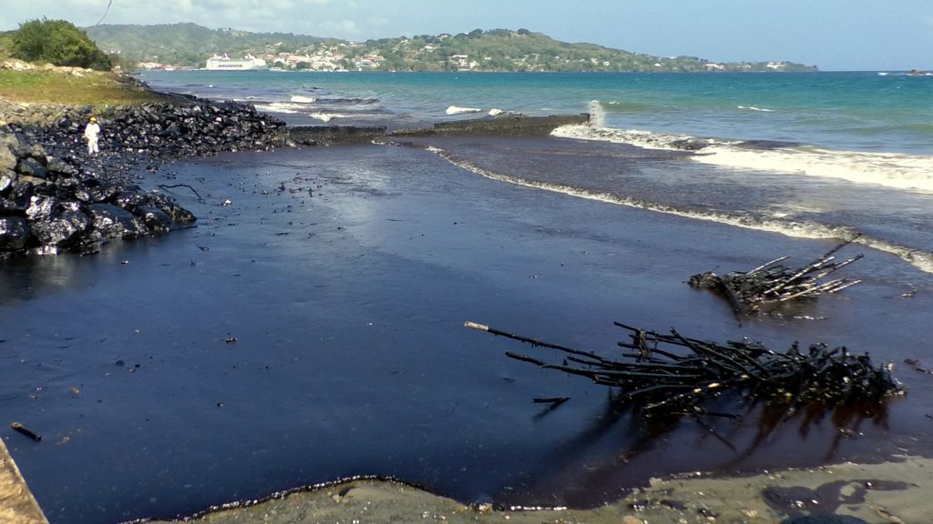 Environmentalists call for urgent clean-up - Trinidad Guardian