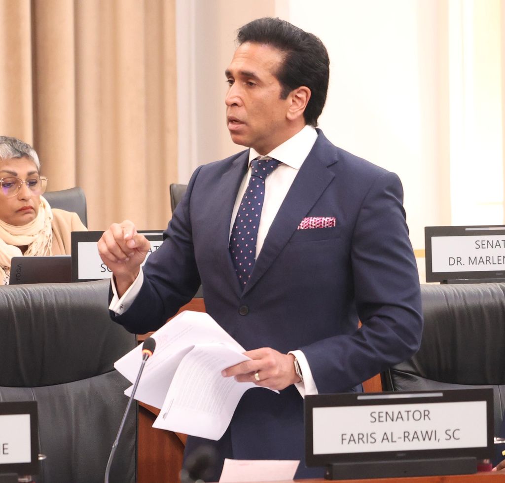 Al-Rawi temporarily removed from Senate’s Privileges Committee ...