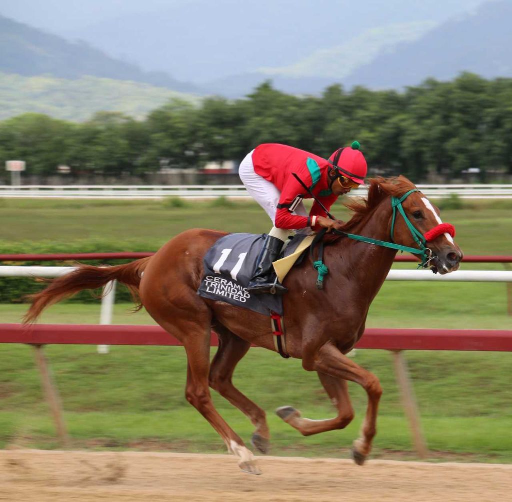Independence Day racing treat - Trinidad Guardian